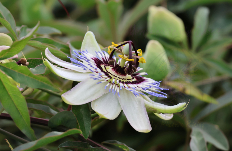 Breaking the Silence: Healing from Family Sexual Abuse Breaking the Silence Healing from Family Sexual Abuse