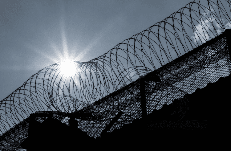 Phoenix Rising Survival Recipes, Redemption, and Ramen Magic Behind Bars Phoenix Rising Survival