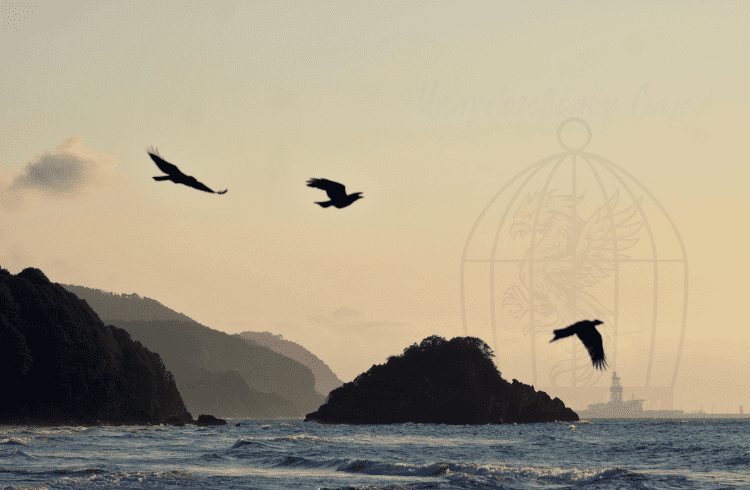 A Guide to Overcoming Compulsive Lying and Narcissistic Behavior 2025 Overcoming Compulsive Lying