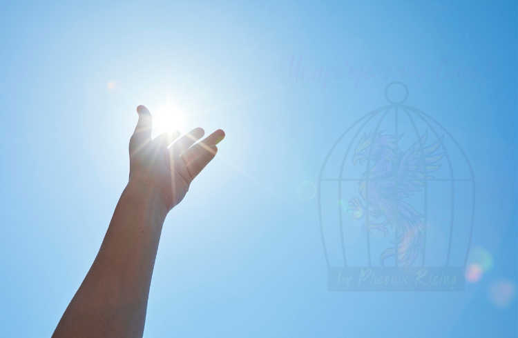 Chapter 27: Dying to My Flesh & Rising in Purpose Dying to My Flesh