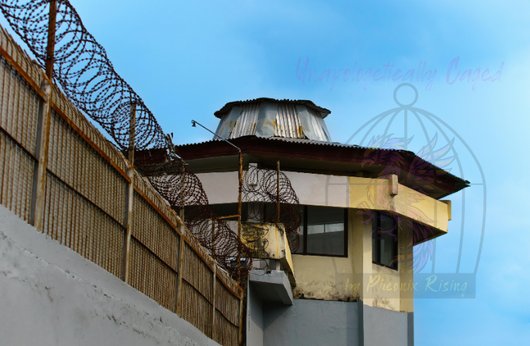 Prison Den: A Journey from Sheep to Warrior Prison Den