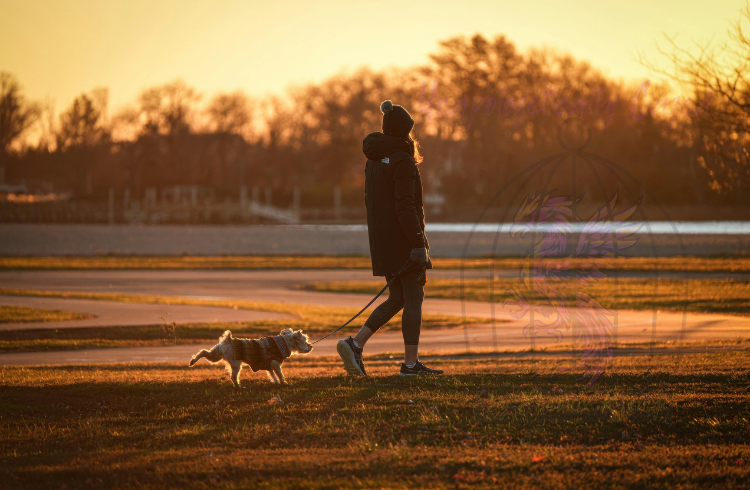 Breaking Free: Forgiveness and Self-Liberation in 2025 Breaking Free